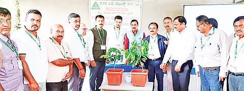 ಮಾನವ-ಆನೆ ಸಂಘರ್ಷ ಮುಕ್ತಿಗೆ ಪರಿಹಾರ ಹುಡುಕಬೇಕು