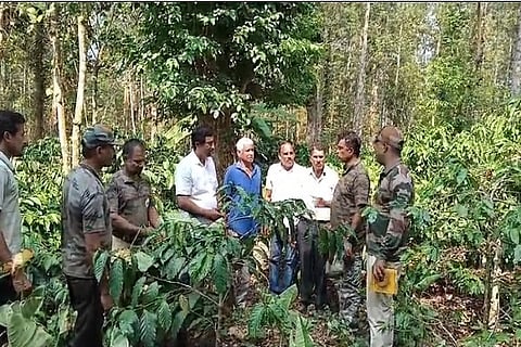 Against survey of private land trees