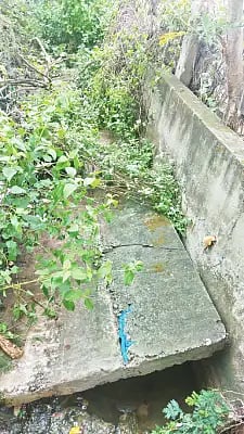 BIRUR RAJAKALUVE