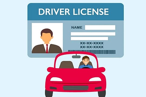 Driving Licence