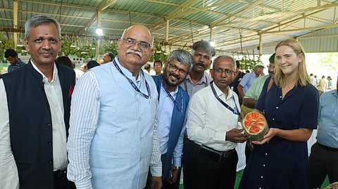 Fruit mela - 2
