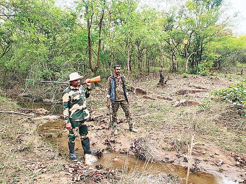 HUN-MAY-23-4(ELEPHANT CENSUS)