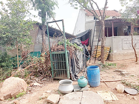 ಆತಂಕ ಸೃಷ್ಟಿಸಿದ ಚಿರತೆ