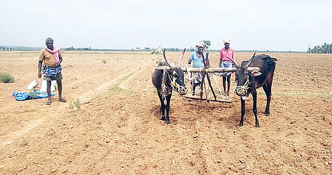 ಬಿತ್ತನೆ ಬೀಜದ ಬೆಲೆ ದುಪ್ಪಟ್ಟು!
