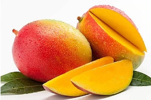 Mango