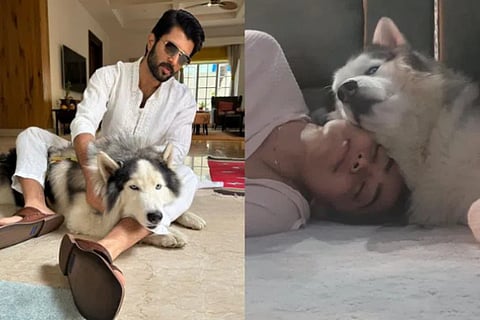 Rashmika Mandanna