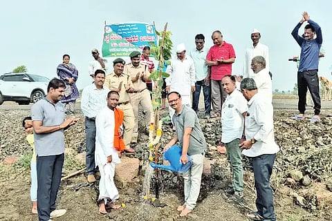 Social Sector Forest Officer, S.G. Sangalika, discount price, saplings, plants for farmers,