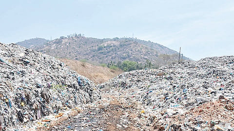 Waste supply to sewage farm has been stopped