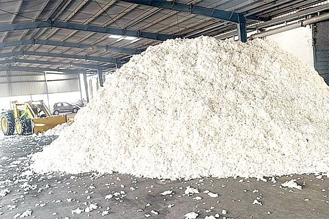 bellary cotton mill