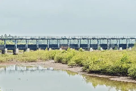 bridge-1