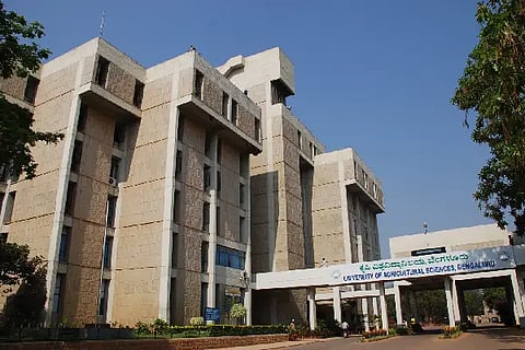 gkvk building