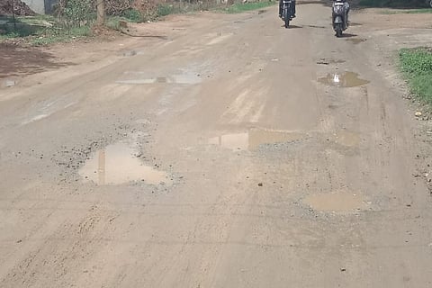 kolara web