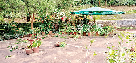 ಚಿತ್ರ 18ಎಸ್ ಡಿ ಪಿ 01