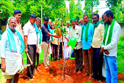 ಮಾಗಡಿ