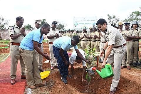 environment day