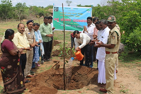 environment day celebration in koppal tp forest department