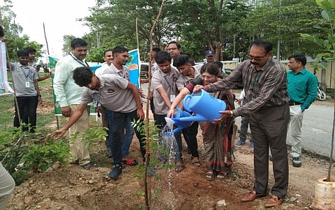 ನವಕೀಸ್ ಕಾಲೇಜಿನಲ್ಲಿ ವಿಶ್ವ ಪರಿಸರ ದಿನಾಚರಣೆ