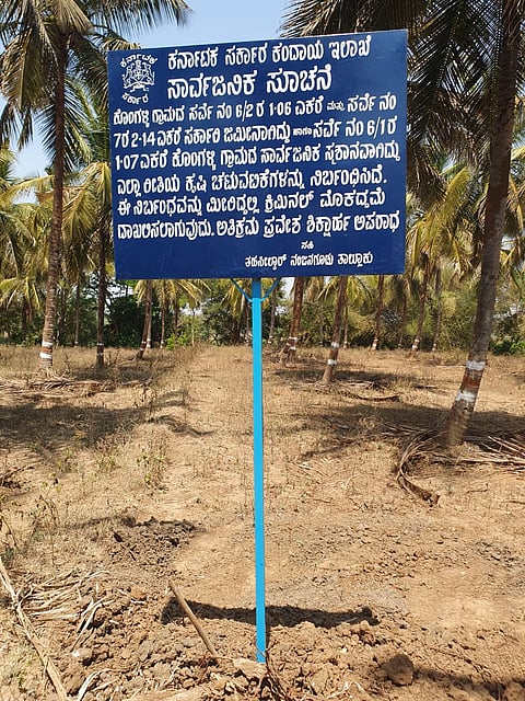 11 A