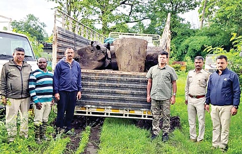 ವಾಹನ ಸಮೇತ ಬೀಟೆ ನಾಟಾ ವಶಕ್ಕೆ