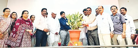 18 upbr 1-Denghe jagruti