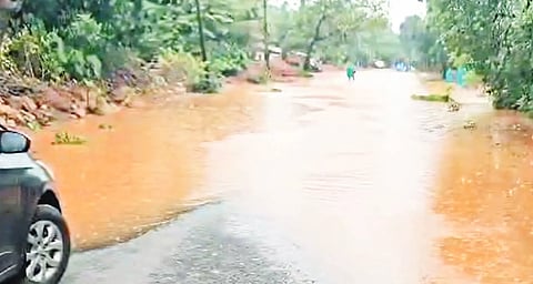 26KMT3a_Harodi RAIN