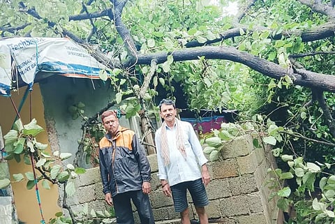 26sirsi2-RAIN