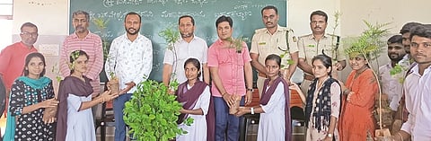 7 BK 2