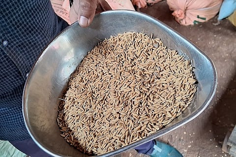 A farmer who grew rice and made a profit