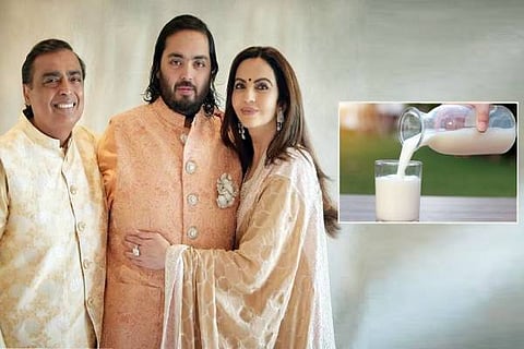 Ambani Milk