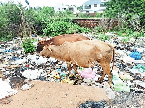 BHATKAL HIGHWAY