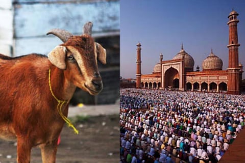 Bakri Eid