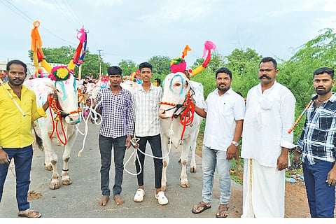 Curry Festival in Khilarahatti