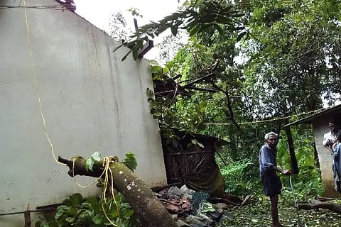 Damage