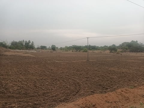 Decrease in rainfall Mandya