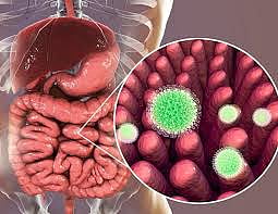 Diarrhoeal