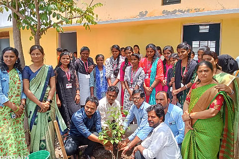 Grow the forest, save the country