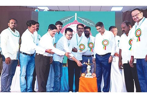 Hbhalli Fruit Nws