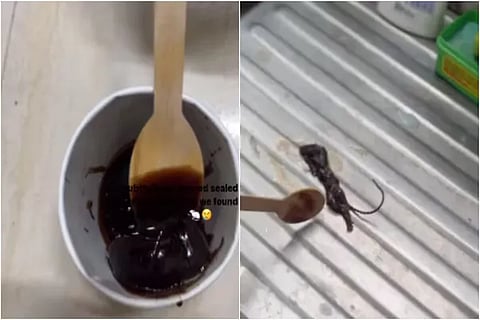 Hersheys Rat