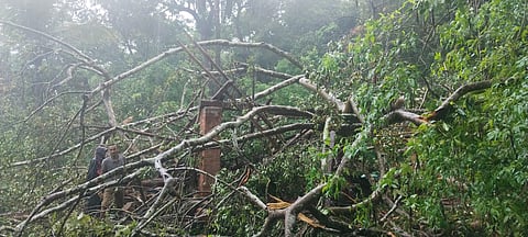 IMG-20240609-WA0017