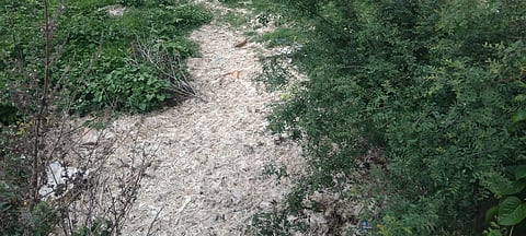 IMG_20240607_172507