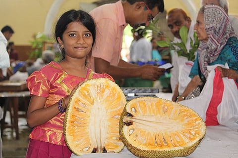 Jun 15 & 16 Jackfruit Fair in Mysore