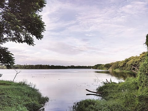 Kukkarahalli Lake