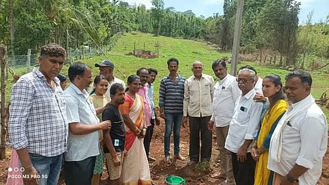 LDH mla