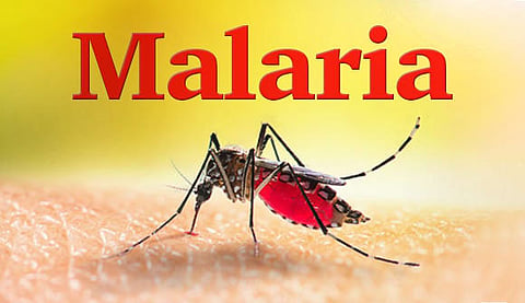 Malaria_Juice