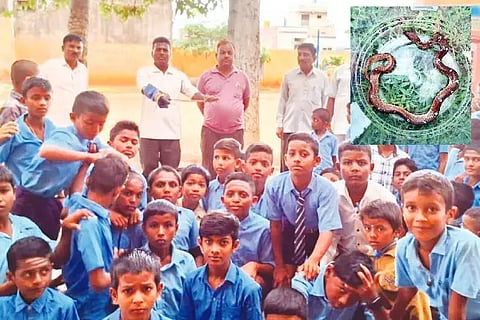 SNAKE
