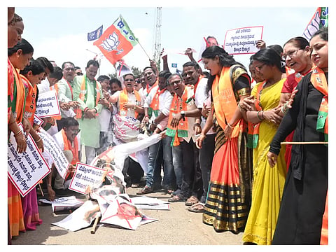 New Bjp New