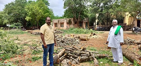 Plant Cutting in byadagi