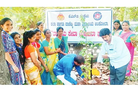 Principal Ashwatthanarayan planted a tree.