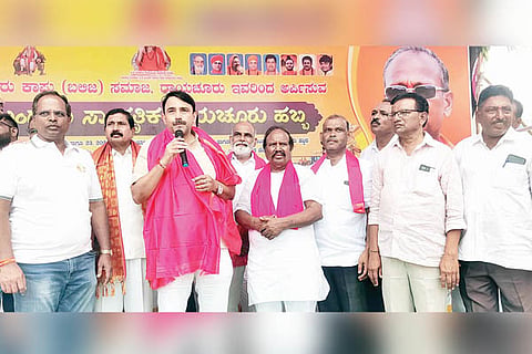 Raichur mungaru habba