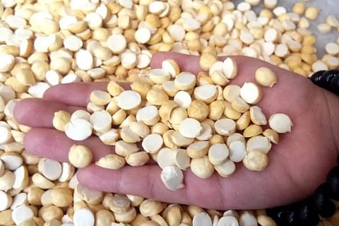 Roasted Chana Dal